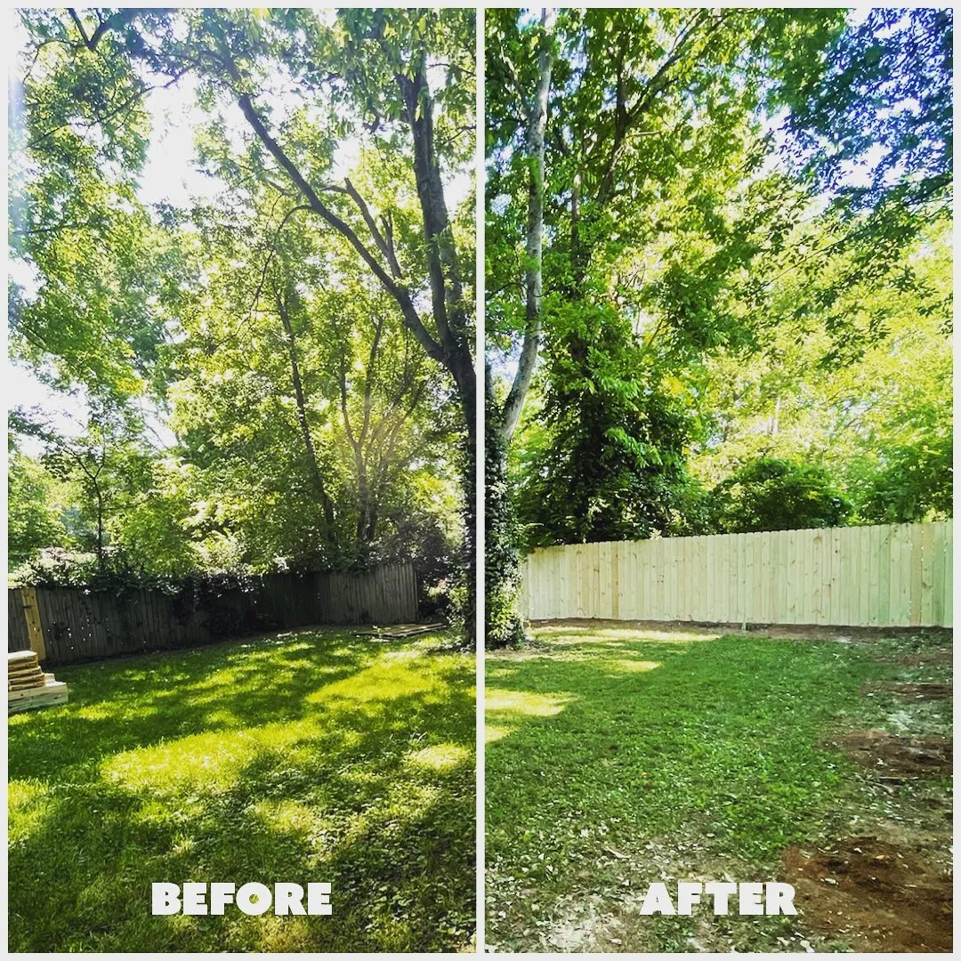Backyard fence before and after replacement