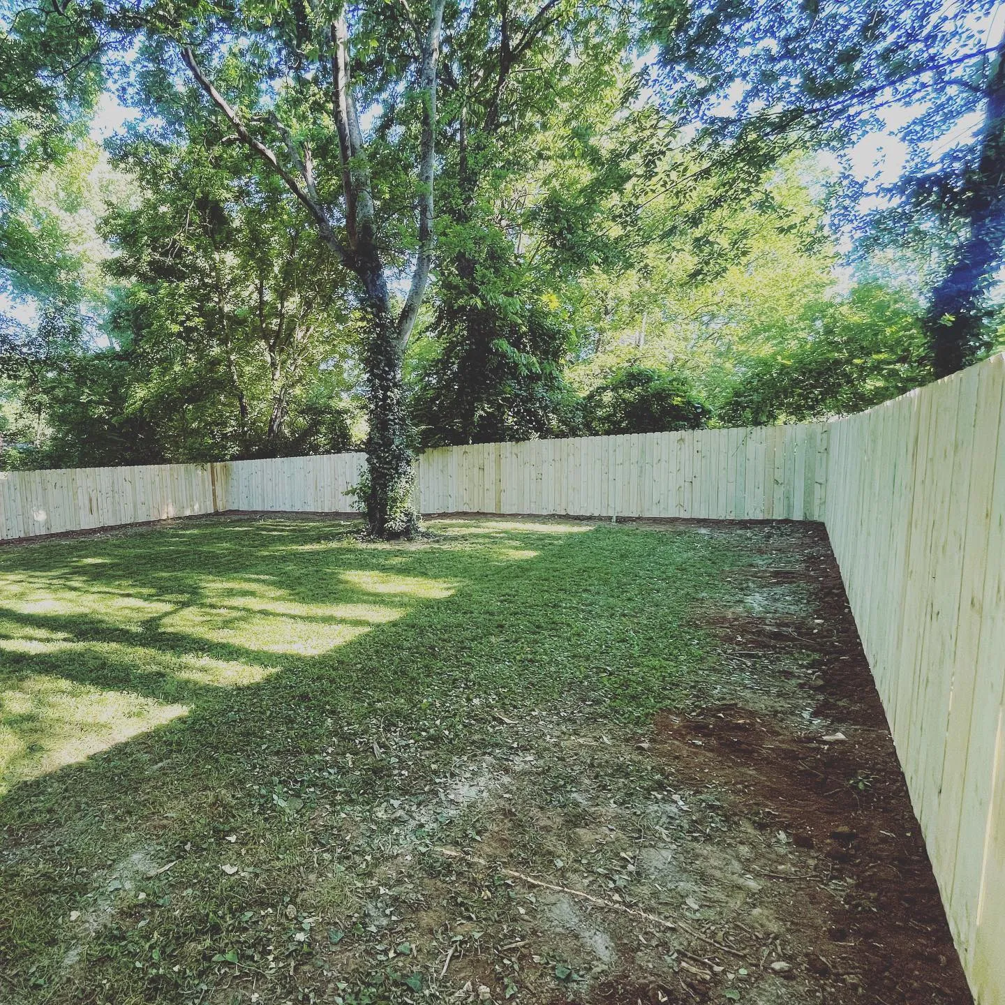 New backyard privacy fence